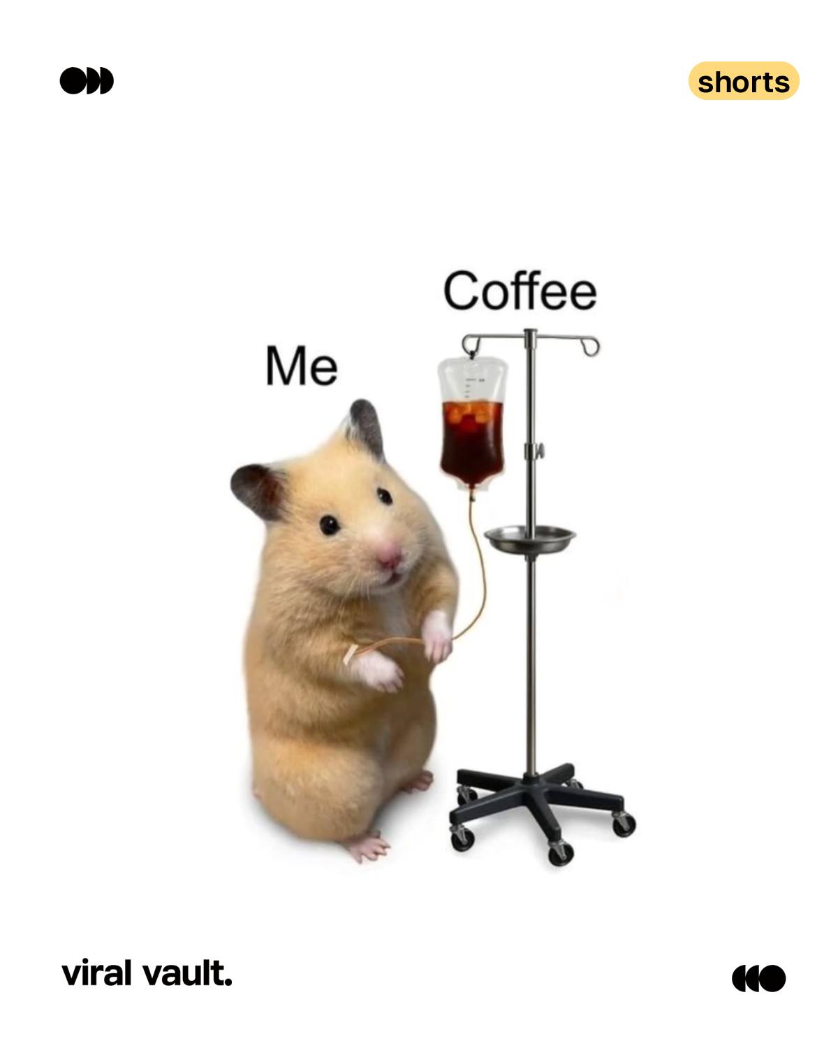 National Coffee Day is here, and so is the annual reminder that coffee isn't a beverage, it's a personality.
Swipe for memes that get every "one last cup" promise, 3 PM crash and "sirf coffee pe zinda hoon" moment. Tag the friend who runs on caffeine and chaos.
#NationalCoffeeDay #DesiMemes #RelatableMemes #OfficeHumour #ViralVaultIndia