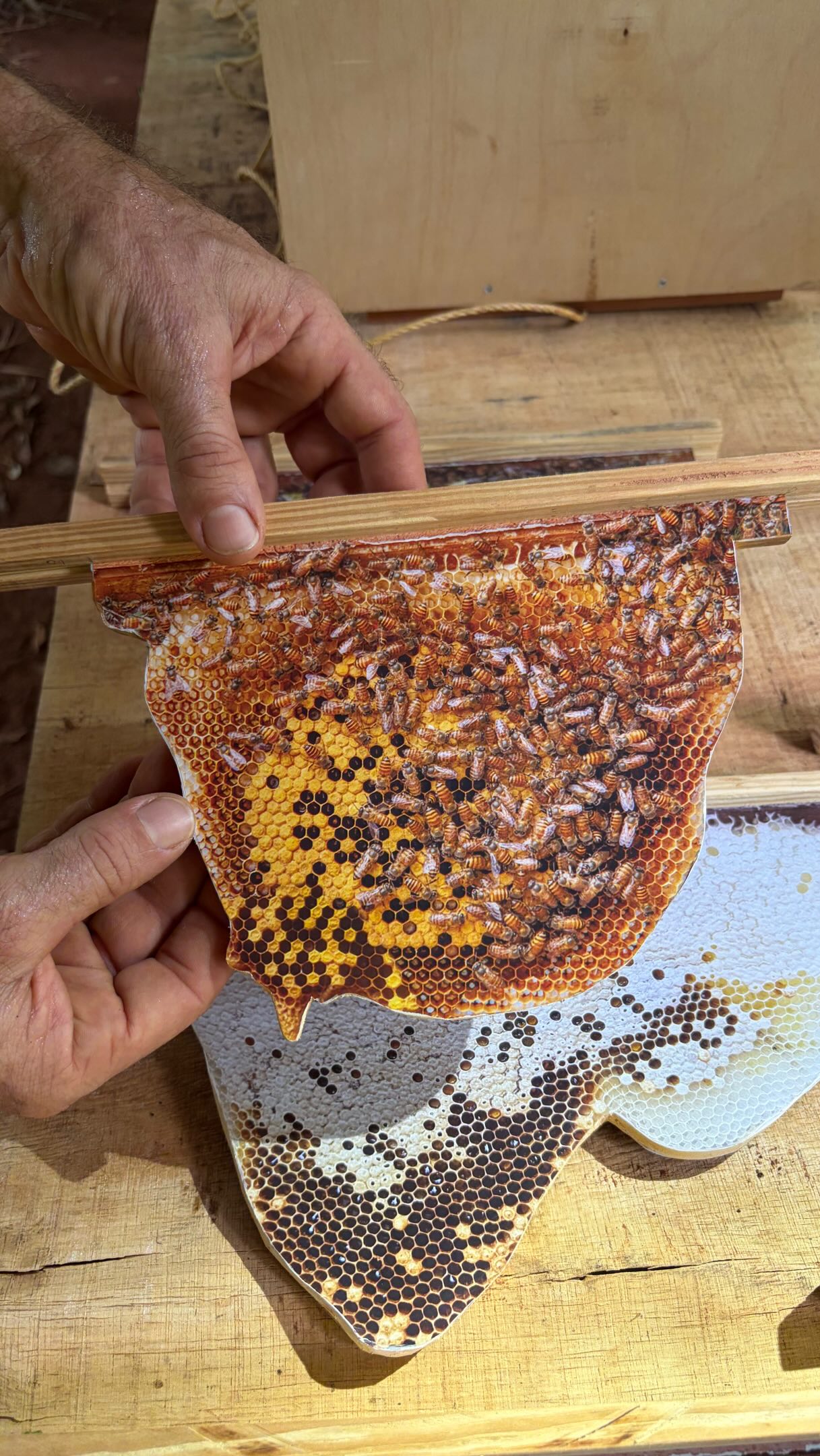 🐝 Join us for an exploration into the secret life of bees.Together, we’ll spend three days learning about honeybees, their relationship with flowers, pollination and the food systems around us.We’ll explore what it means to make space for bees in our gardens, and how our gardens can support bees and other pollinators.The Secret Life of Bees
📅 2–4 October 2026
📍 Pebble Garden, AuroOrchard & Sarah’s Food Forest, AurovilleDay 1 & 2: 9:00 am–5:00 pm
Day 3: 9:00 am–1:00 pmFacilitators: Erik Jansegers, Deepika & Bernard, SarahContribution: ₹6,000 (GST inclusive)
Lunch included all three days
15 spots only. Limited scholarships availableRegister here(Link in Bio): https://forms.gle/pvEwBe8vZbQL53Dt9