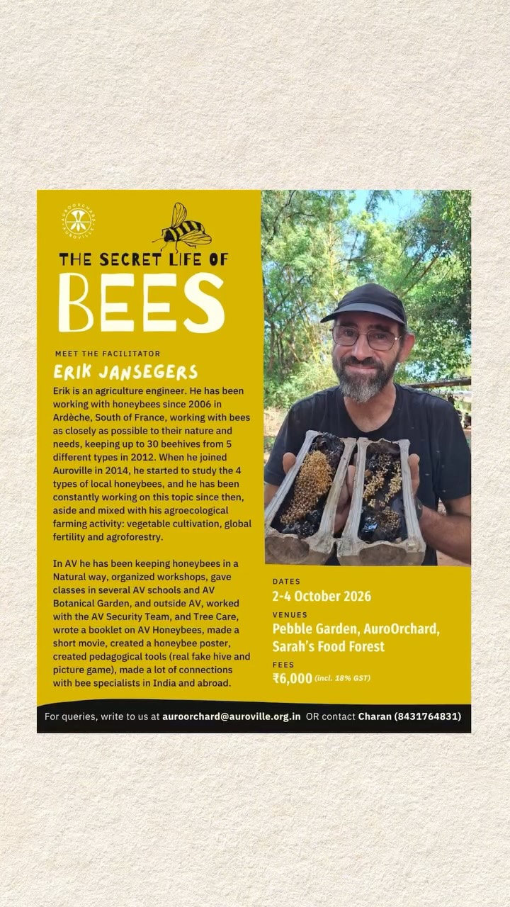 Honeybees. Biodiversity. Pollination. Food ecosystems. Family gardens.Five simple ideas that open up a much bigger conversation about bees, flowers, food and biodiversity.Join us for a 3-day immersion in Auroville exploring natural beekeeping, native bees, ecological restoration and how we can create spaces where bees and other pollinators thrive.Learn from pioneers on the ground:_Erik Jansegers_ · Natural Beekeeper
_Deepika & Bernard_ · Ecological Restoration Pioneers
_Sarah_ · Food Forest Gardener📍 Pebble Garden, AuroOrchard & Sarah’s Food Forest, Auroville
📅 2–4 October
Day 1 & 2 · 9 am–5 pm
Day 3 · 9 am–1 pm
Lunch included each dayContribution · ₹6,000 (GST inclusive)
15 spots only
Limited scholarships availableReserve your spot — link in bio:
https://forms.gle/pvEwBe8vZbQL53Dt9Questions?
auroorchard@auroville.org.in | Charan: 8431764831